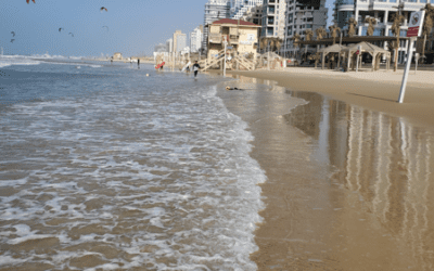 История одной песни