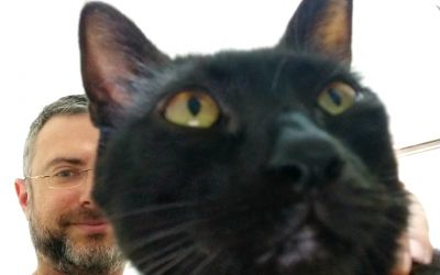 Внутренний котик