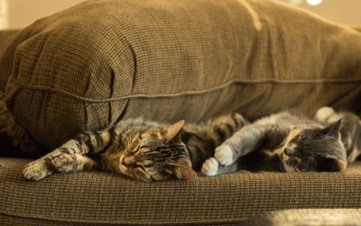 Про нихера не делание