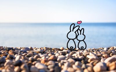 Как прожить 60 лет вместе и умереть в один день?