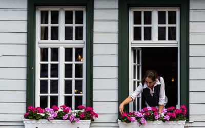 Беречь VS Заботиться